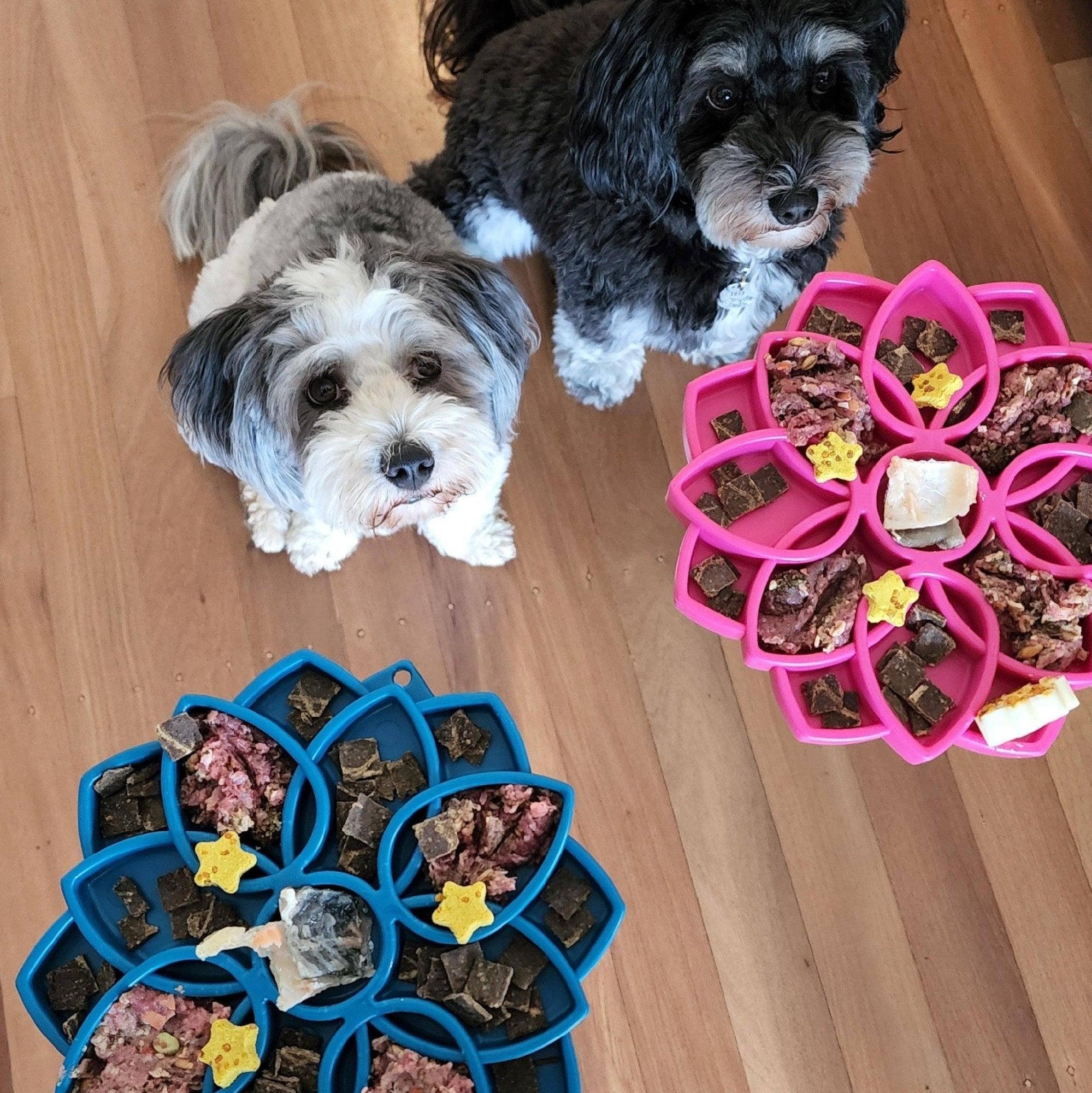Soda Pup Mandala Slowfeeder Etray